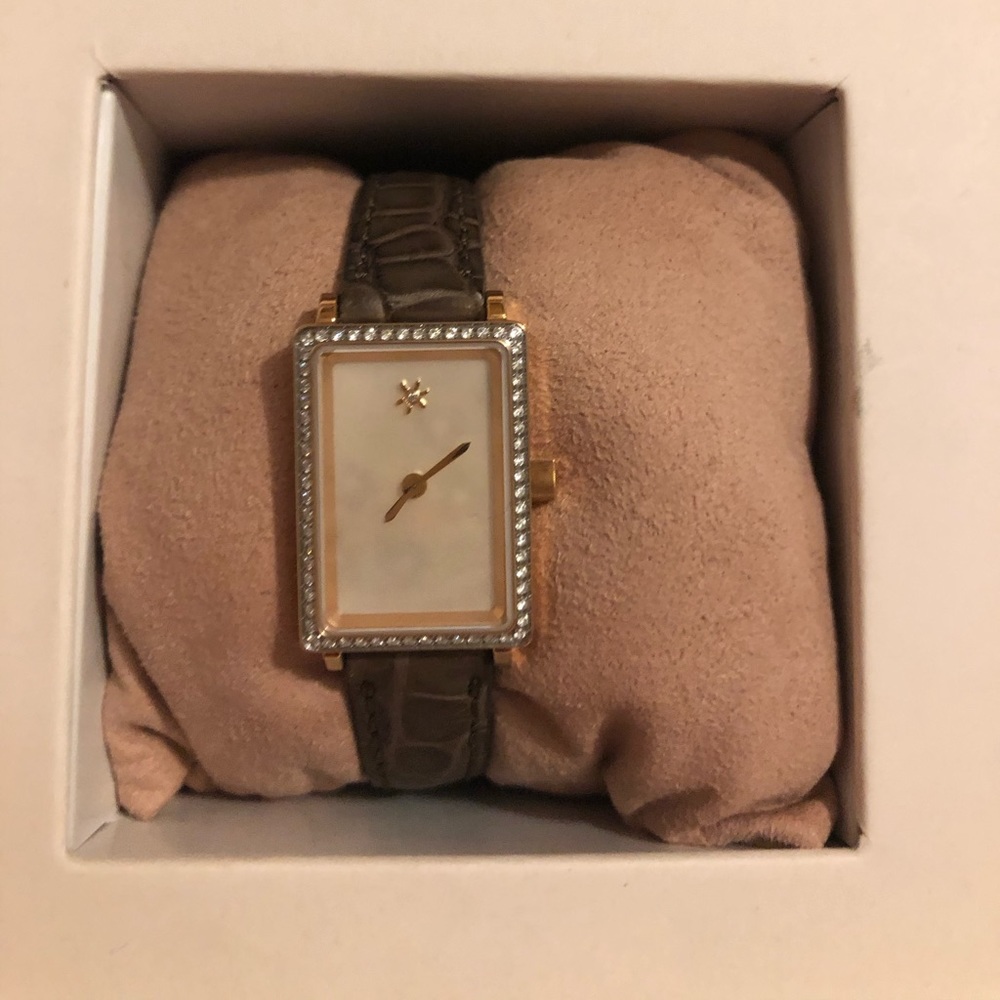 COPY - gomelsky watch
